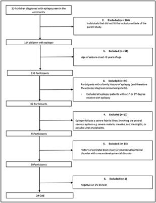 Epilepsy in Onchocerca volvulus Sero-Positive Patients From Northern Uganda—Clinical, EEG and Brain Imaging Features